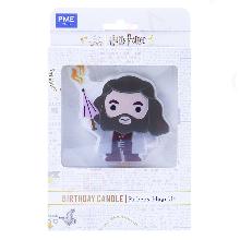 HARRY POTTER VELA DEL PERSONAJE DE RUBEUS HAGRID