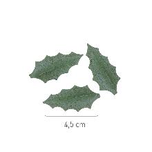 HOJA ACEBO VERDE DE OBLEA 20 UNIDADES