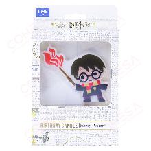 HARRY POTTER VELA DEL PERSONAJE DE HARRY POTTER
