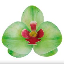 ORQUÍDEA DE OBLEA VERDE 10 UNIDADES (8,5 X 7,5CM)
